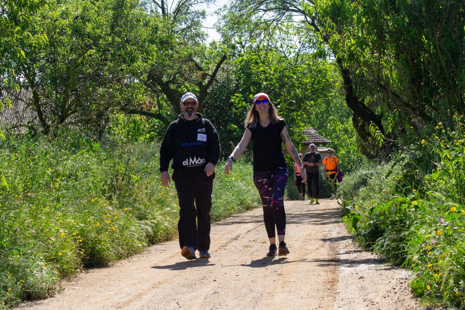 Sin título 31